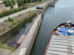 Mainschwimmen Juni 2026